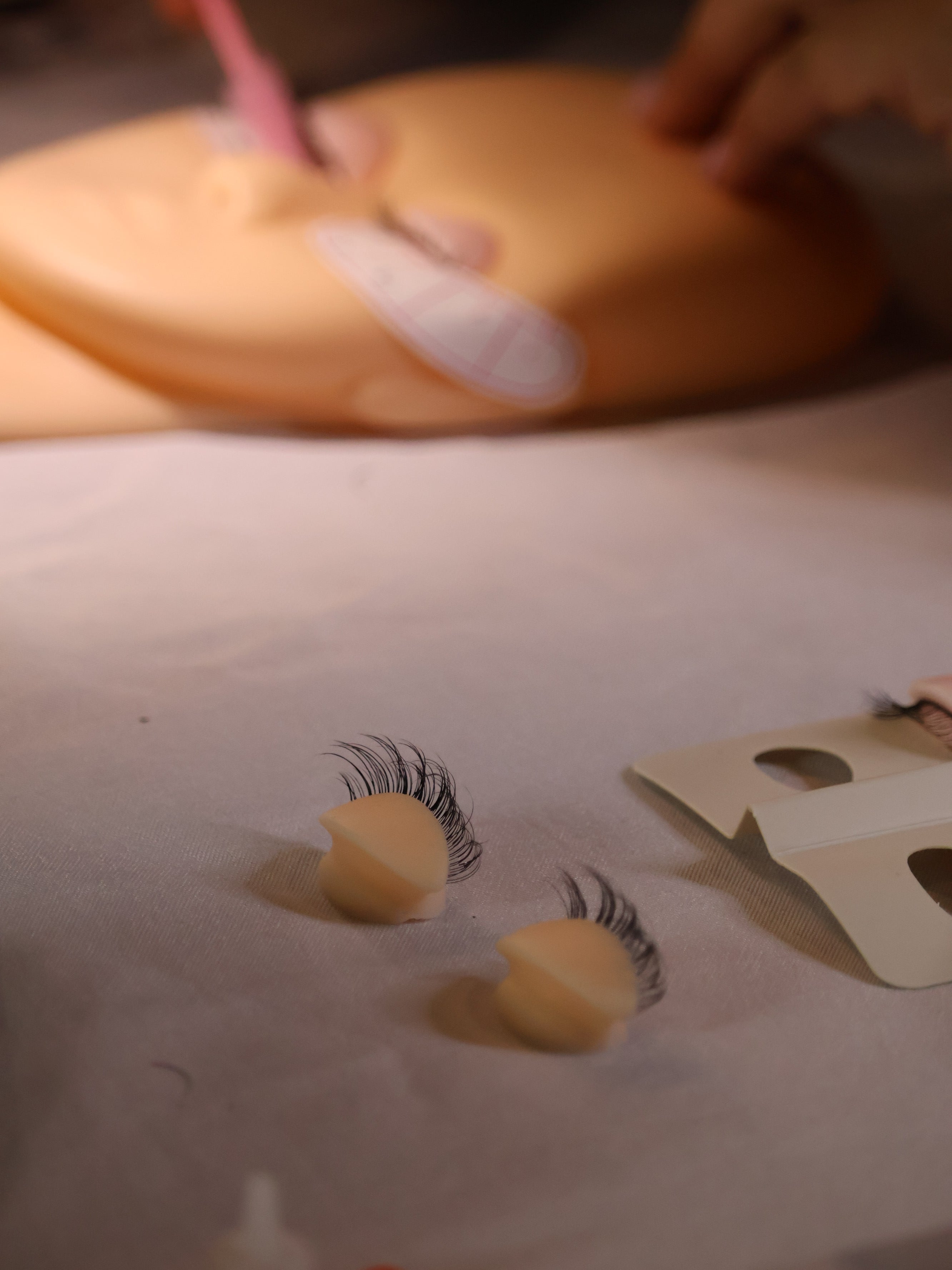 LASH BOSS EXPERIENCE FORT MYERS Dic 6-7