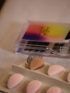 LASH BOSS EXPERIENCE FORT MYERS Dic 6-7